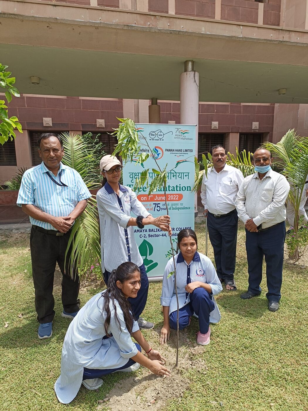 Tree plantation